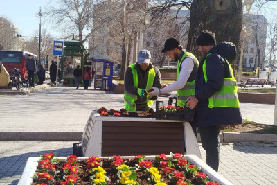 Gəncənin mərkəzinə mövsümü güllər əkilib