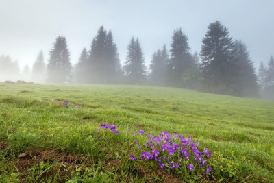 Sabah duman olacaq - PROQNOZ