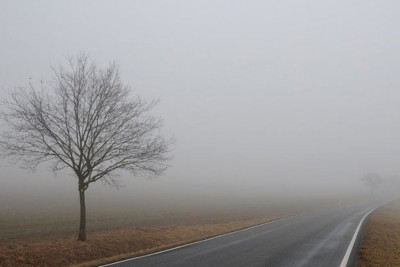 Sabah duman olacaq - PROQNOZ