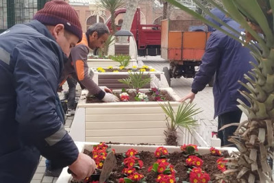 Gəncə Dövlət Filarmoniyasının qarşısında güllər əkilib