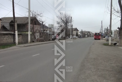 Göygöldə iki kəndin ortaq problemi: Yollar qaranlığa qərq olub