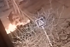 Gəncədə sərxoş şəxs zibil qutularını yandırdı