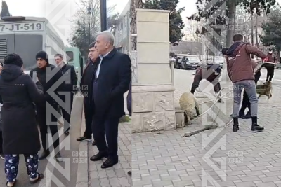 Gəncədə sahibsiz itlər toplanır: Heyvansevərlərlə sakinlər üz-üzə gəldi