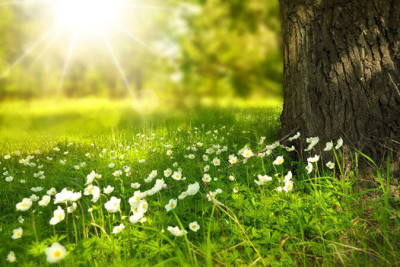 Sabah 17 dərəcə isti olacaq - PROQNOZ