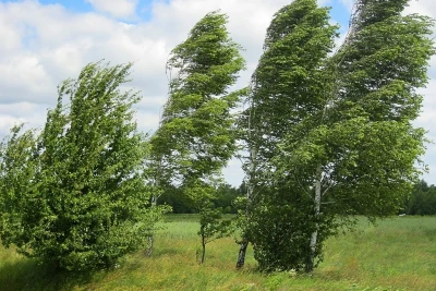 Gəncədə külək güclənəcək