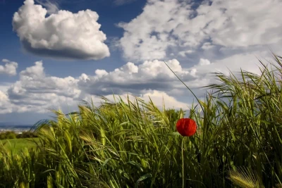 Sabah hava necə olacaq? - PROQNOZ