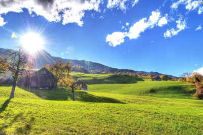 Sabah 20 dərəcə isti olacaq - PROQNOZ