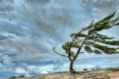 Bəzi rayonlarda külək güclənəcək