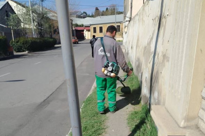 Gəncə alaq otlardan təmizlənir