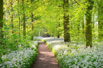 Sabah 23 dərəcə isti olacaq - PROQNOZ