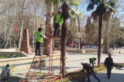 Gəncədə mövsümü güllər əkilir