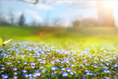 Sabah 22 dərəcə isti olacaq - PROQNOZ