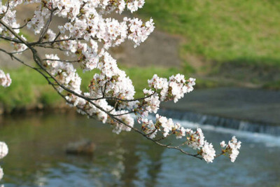 Sabah 25 dərəcə isti olacaq - PROQNOZ