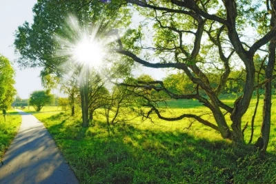 Sabah 25 dərəcə isti olacaq - PROQNOZ