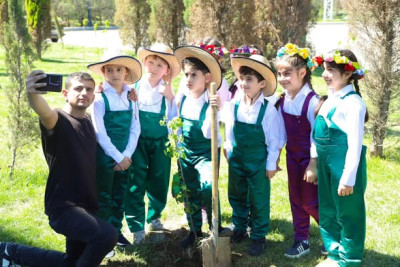 Gəncədə ağacəkmə aksiyası keçirilib