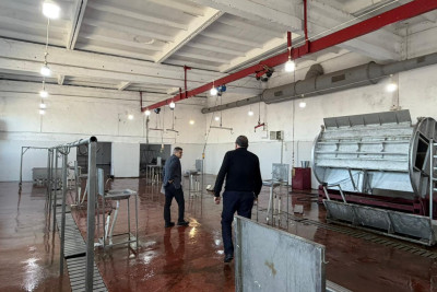 Gəncədə QURBANLIQ qoyunlar BURADA kəsiləcək