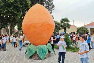 III Ərik Festivalının vaxtı açıqlandı
