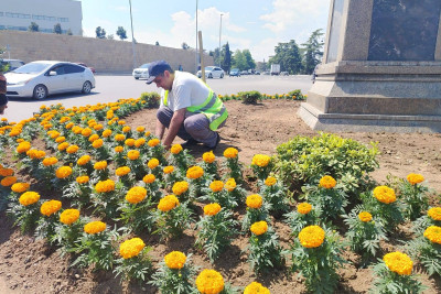 Gəncənin daha bir neçə məkanında güllər əkilib