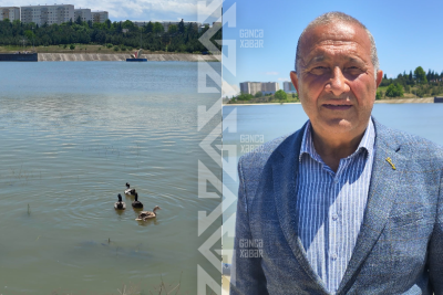 Gəncədəki süni gölə BALIQLAR və QUŞLAR buraxılacaq