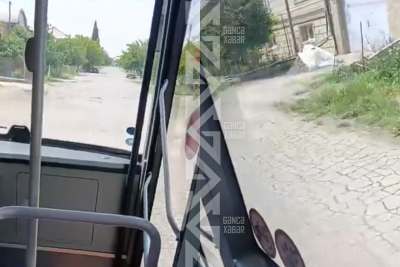 Gəncədə asfalt "gözləyən" yol, sınağa çəkilən avtobuslar