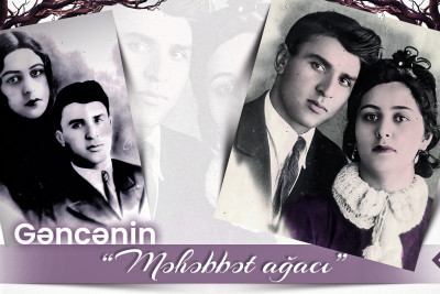 Gəncənin "Məhəbbət ağacı"