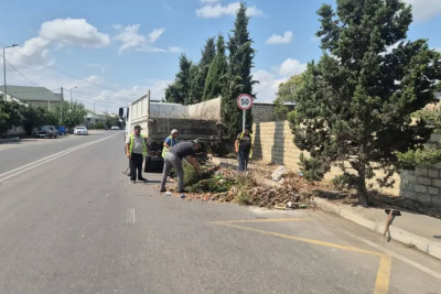 Gəncədə növbəti təmizlik AKSİYASI