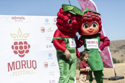 Moruq festivalına avtobuslar təşkil olunub