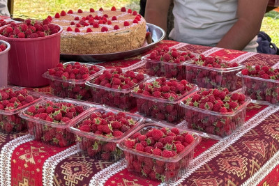 III Moruq Festivalına start verilib